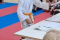19ceinture